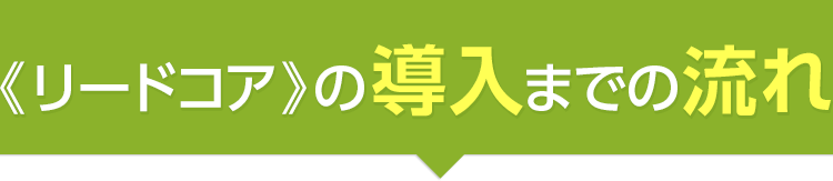 《リードコア》の導入までの流れ