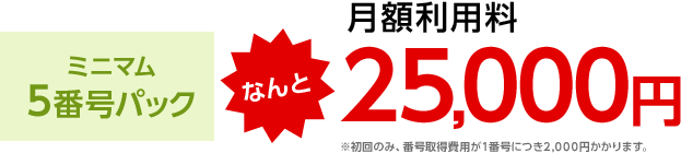 ミニマム5番号パック 月額利用料 なんと25,000円